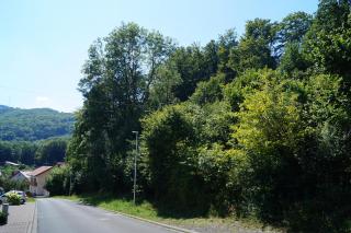 Blick in die Osterburgstraße in westliche Richtung